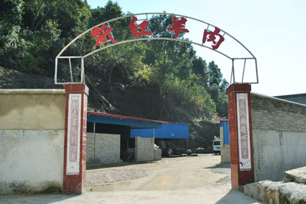 02.jpg