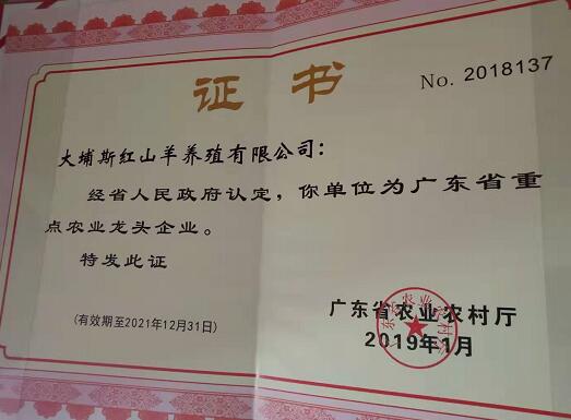 廣東省重點農業龍頭企業